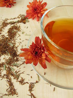 rooibos tea