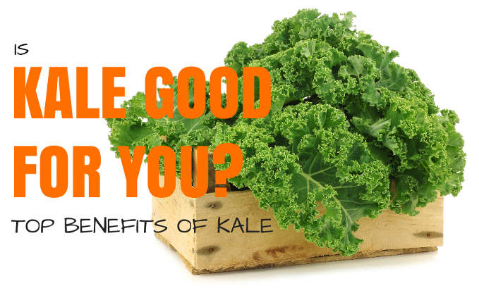 is kale good for you benefits of kale